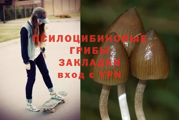 прущая мука Белоозёрский